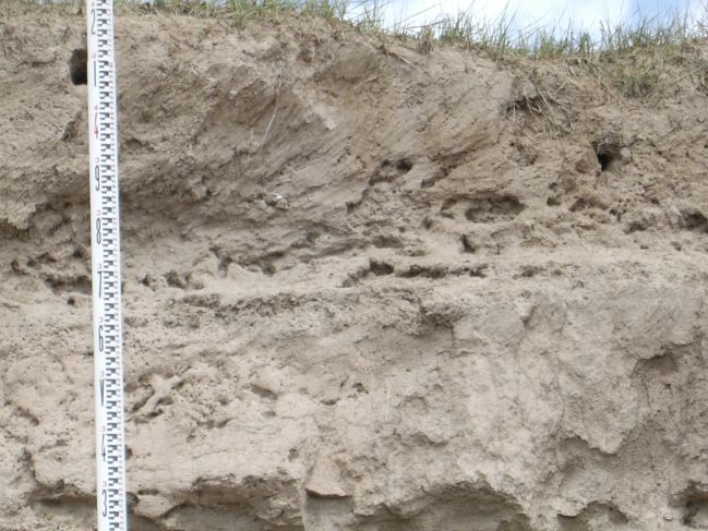  2006:09:07 02:05:09   NSideBuhaTer3 - Aeolian sand at top of section.jpg